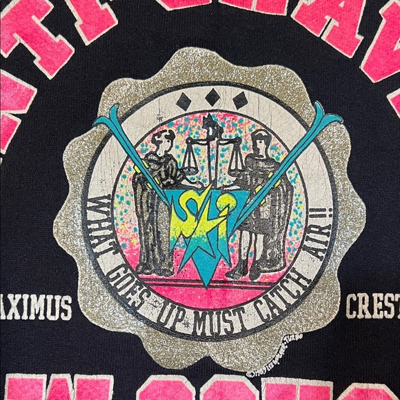 Vintage Fruit of the Loom Graphic Sweatshirt – Crested Butte Anti-Gravity - Picture 3 of 8